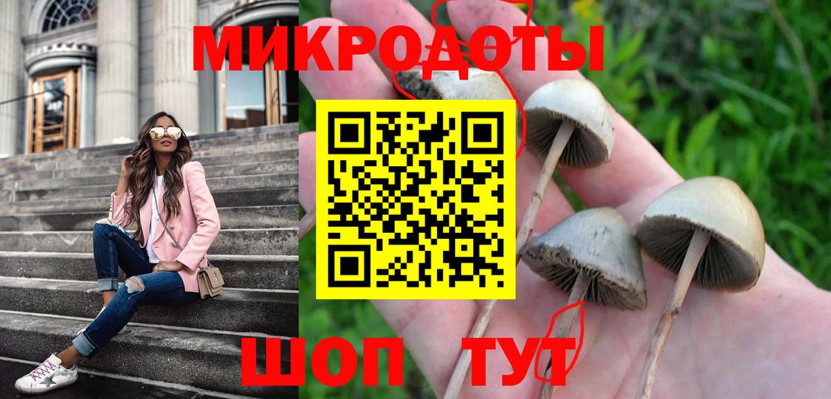 Галлюциногенные грибы ЛСД Петровск