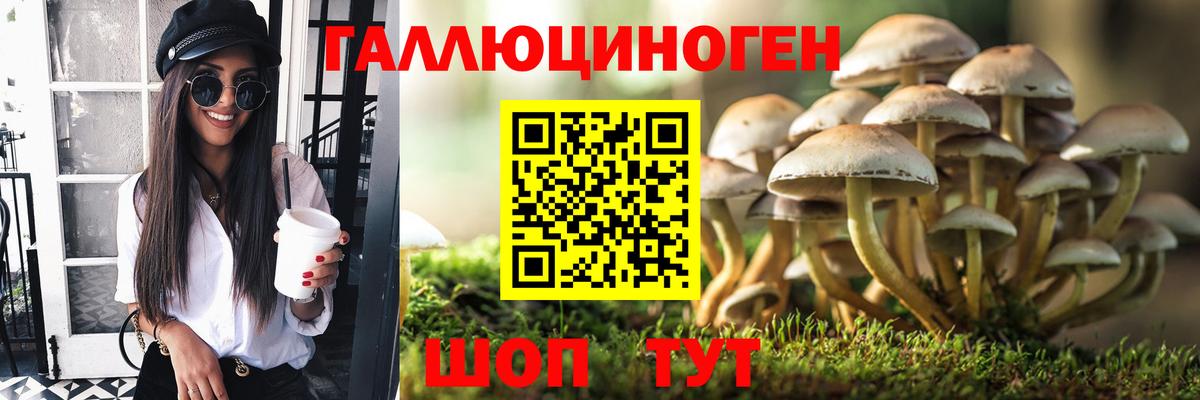 Галлюциногенные грибы прущие грибы  Вход с VPN  Петровск 